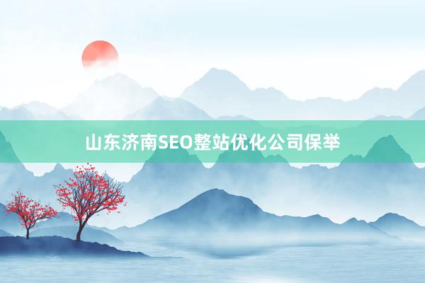 山东济南SEO整站优化公司保举